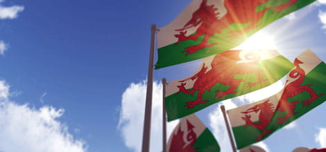 Welsh flags